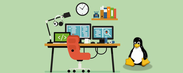 如何检查Linux系统版本及软件程序信息